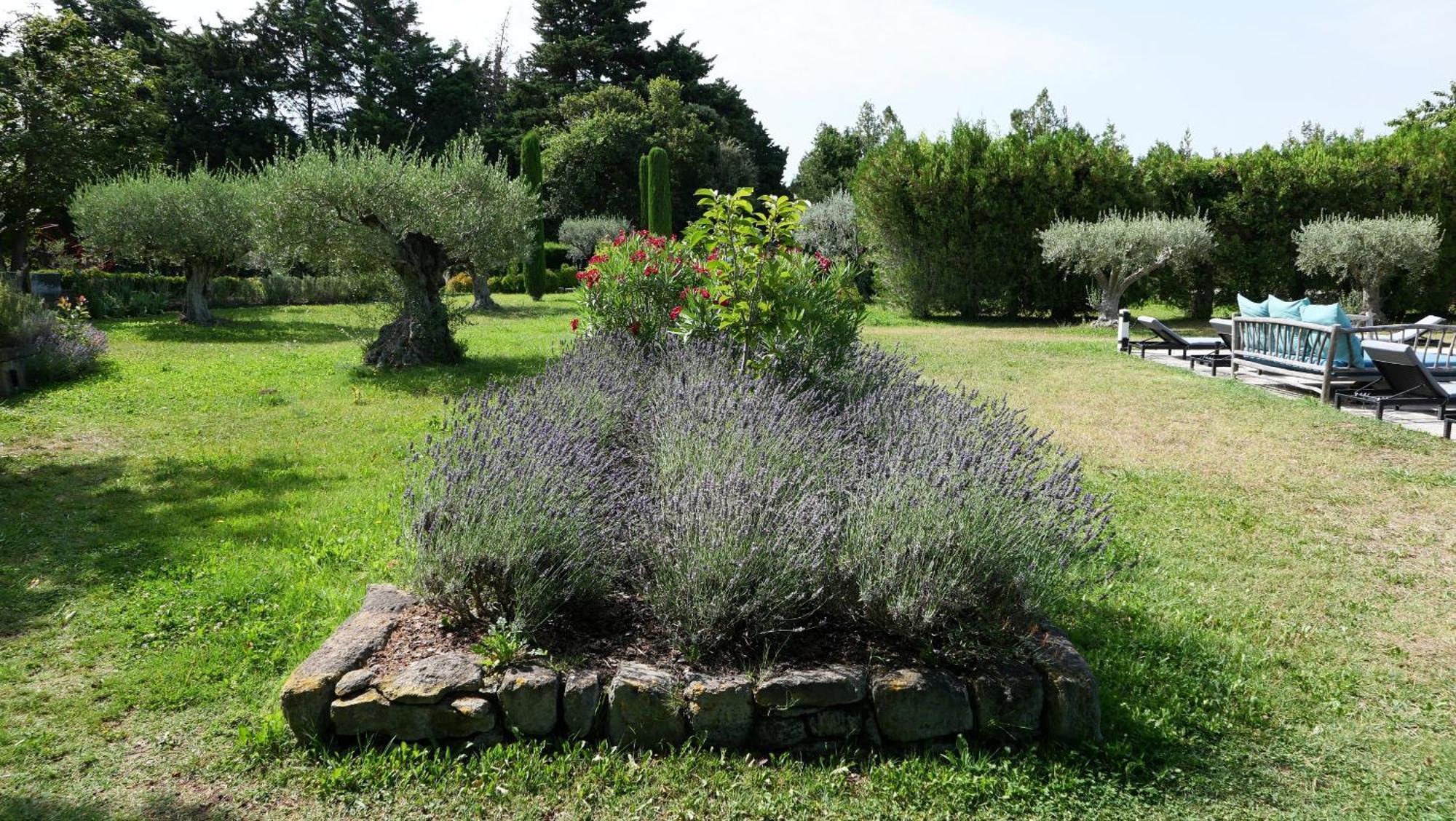 Typical Provencal Farm House Close To L'Isle Sur La Sorgue - 12 Persons Cavaillon Exterior photo