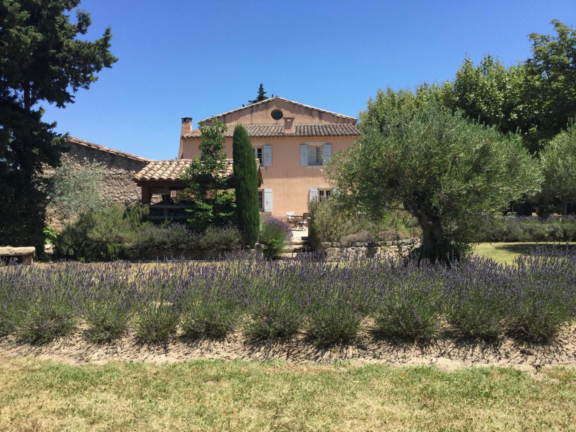 Typical Provencal Farm House Close To L'Isle Sur La Sorgue - 12 Persons Cavaillon Exterior photo