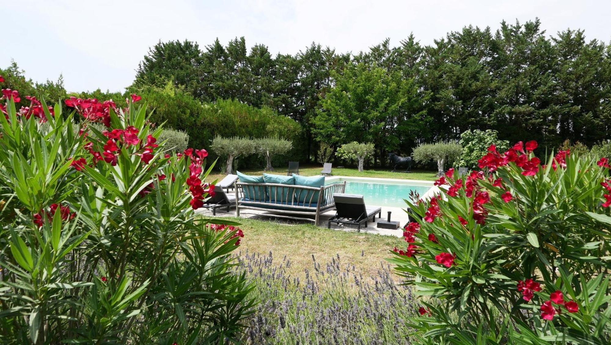 Typical Provencal Farm House Close To L'Isle Sur La Sorgue - 12 Persons Cavaillon Exterior photo