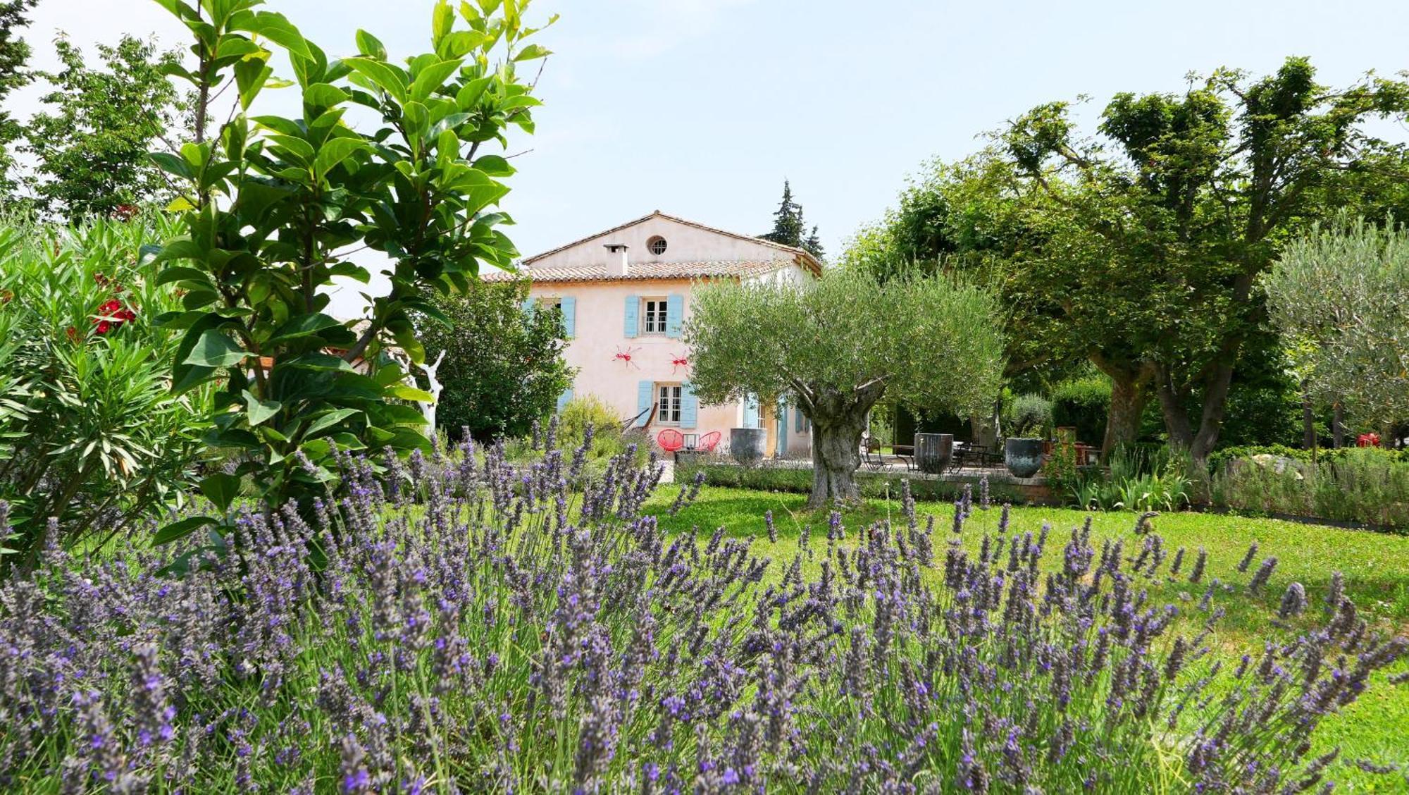 Typical Provencal Farm House Close To L'Isle Sur La Sorgue - 12 Persons Cavaillon Exterior photo